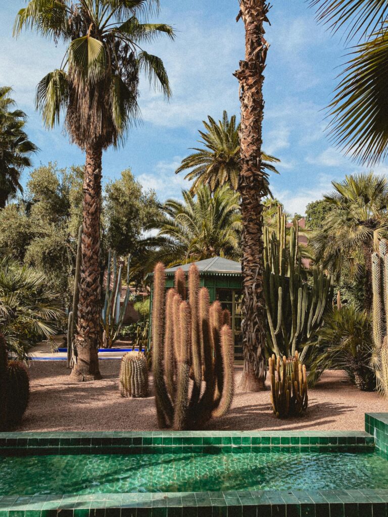 les jardins de Majorel Marrakech -riad el filali