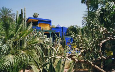 Les Jardins Majorelle : Oasis de Sérénité