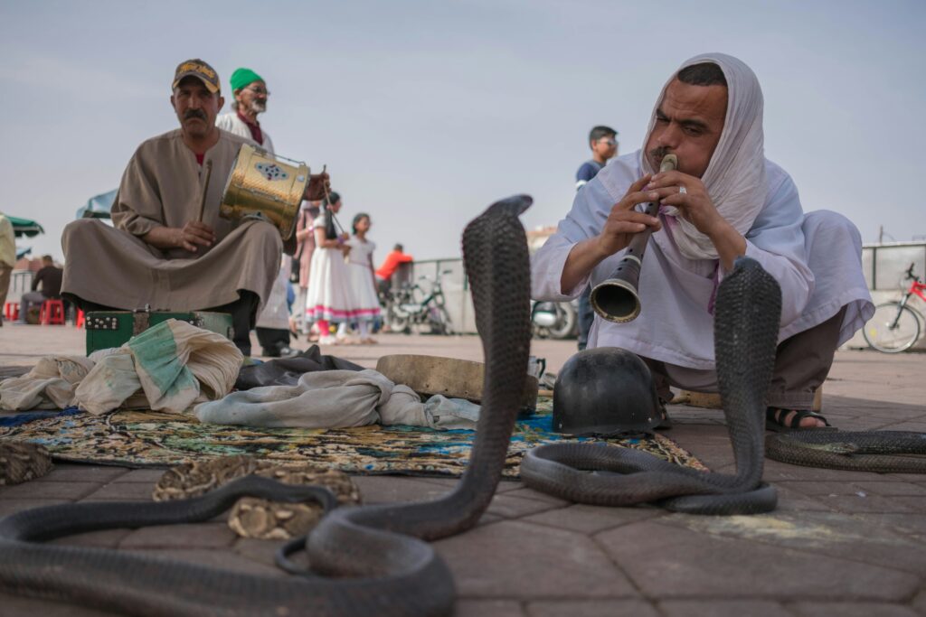 Marrakech, place Jemaa El Fna, charmeurs de serpents proche du riad el filali